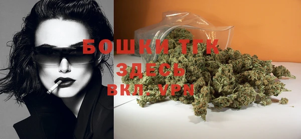 стафф Касимов